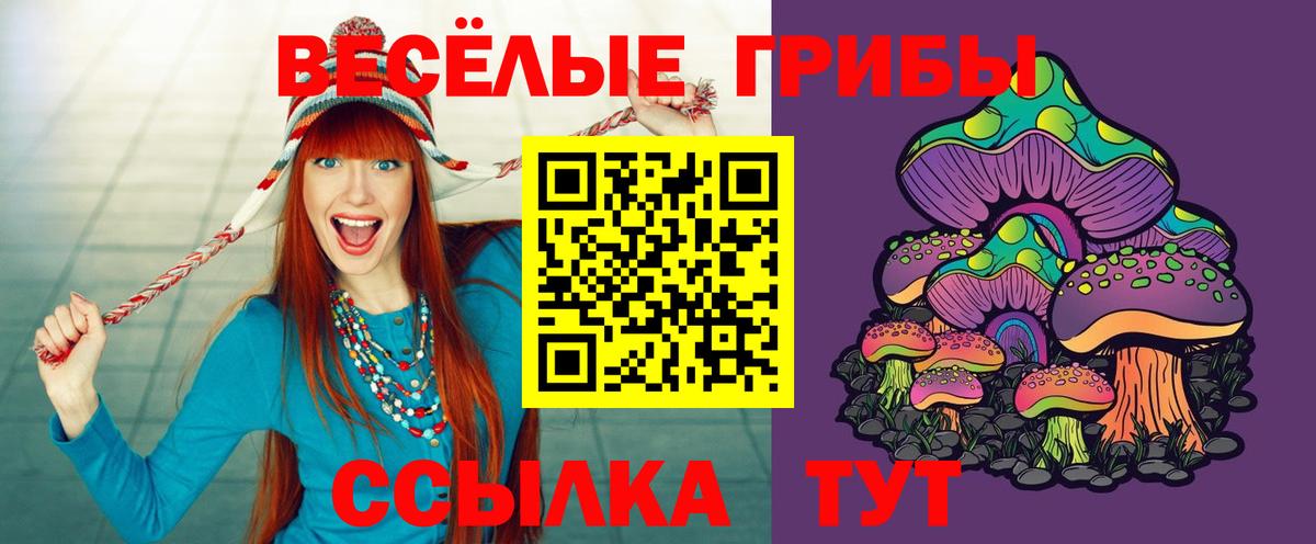 Галлюциногенные грибы MAGIC MUSHROOMS  Вход с VPN  Галлюциногенные грибы GOLDEN TEACHER  Осинники 