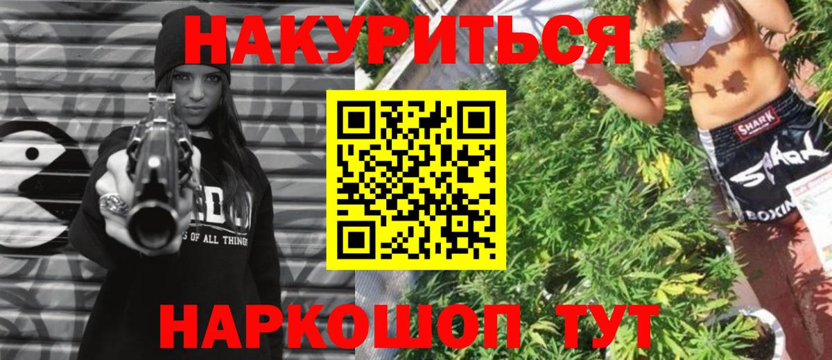 Конопля сатива Осинники